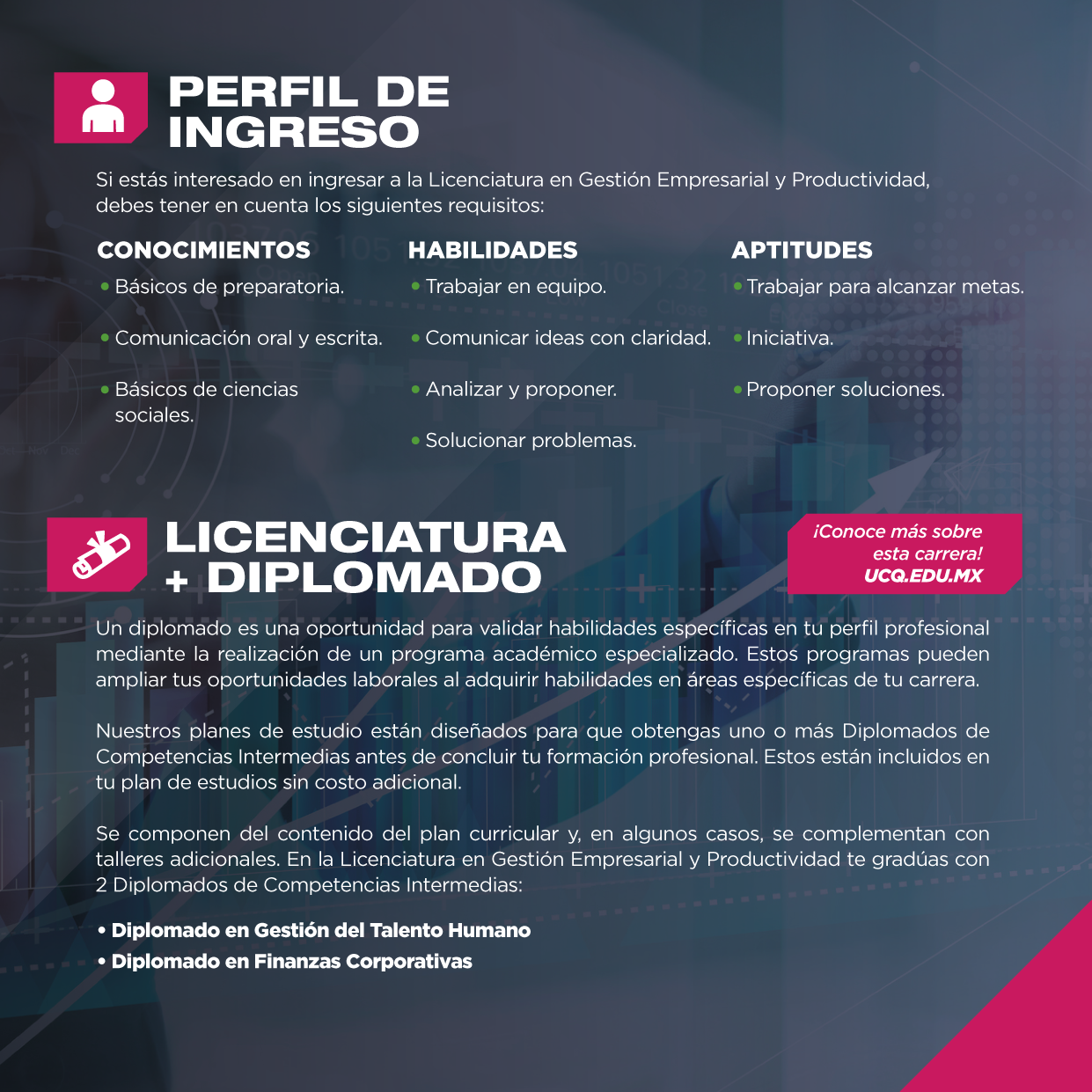 Un licenciado en Gestión Empresarial y Productividad puede llevar a cabo diversas tareas en el campo laboral. ¿Te gustaría conocerlas? 